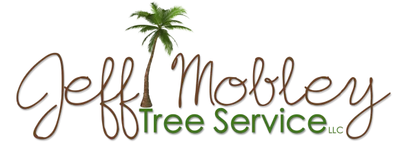 Jeff Mobley Tree Service, LLC Jeff Mobley Tree Service