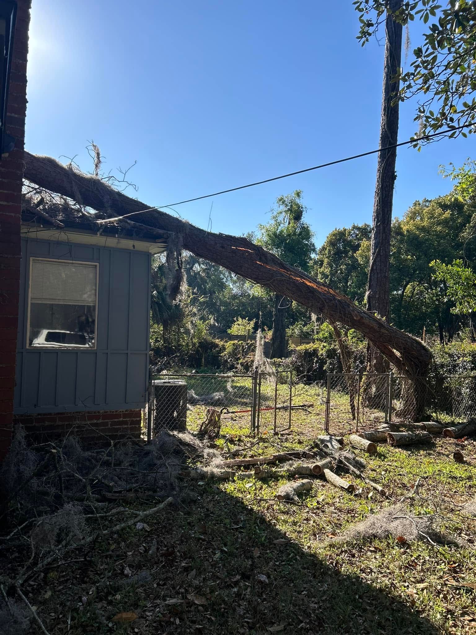 Jeff Mobley Tree Service removing a damaged pine tree from a home roof in St. Augustine