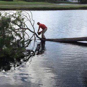 Jeff Mobley Tree Service handles removing trees that have to come down, keeping healthy trees healthy, and clearing land for building