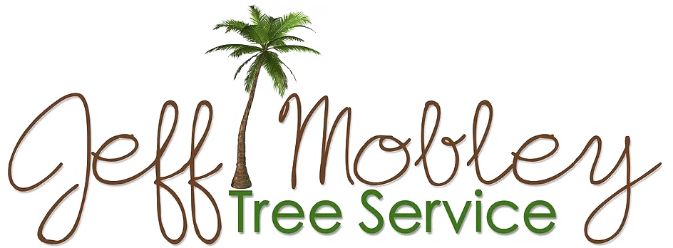 Jeff Mobley Tree Service 904-540-2167