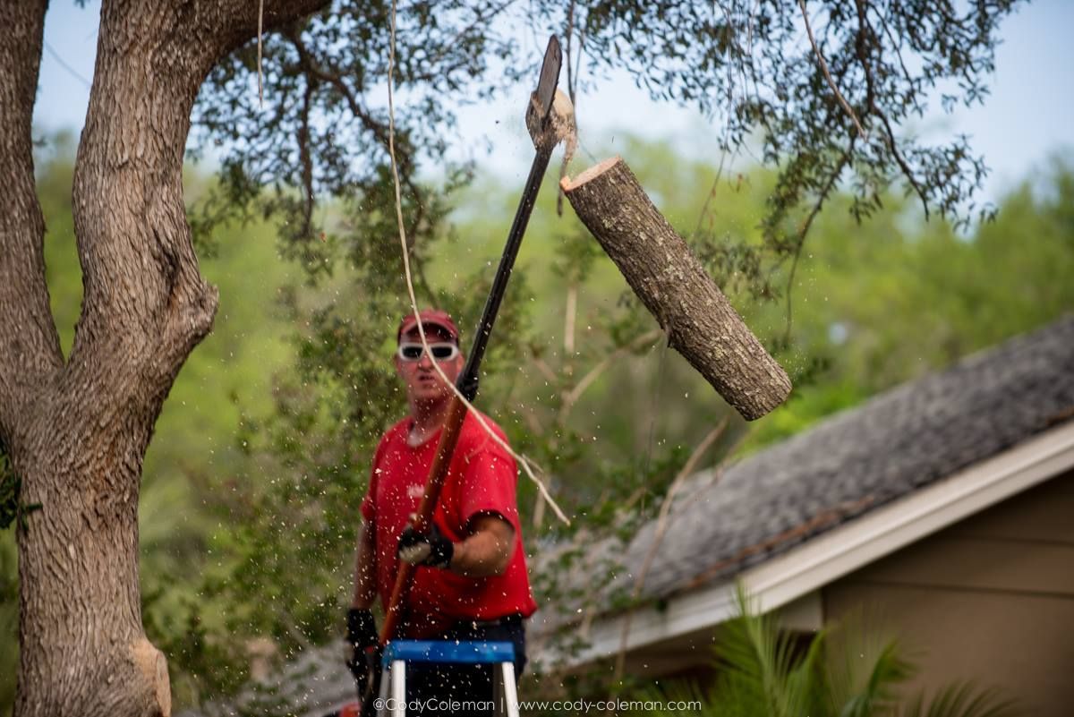 Jeff Mobley cutting a tree with a long pole trimmer near a home.