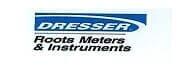 TECNI - CALDERAS INDUSTRIALES SA DE CV – DRESSER ROOT METERS & INSTRUMENTS