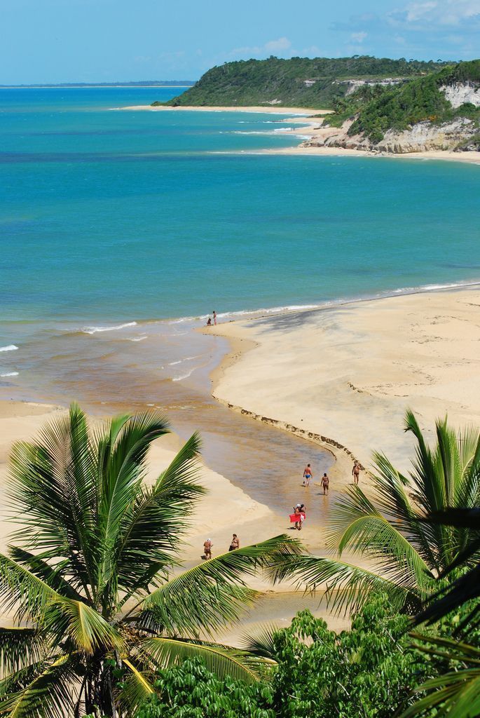 Uma praia com palmeiras e um corpo d'água Pousada Quadradinho de Trancoso