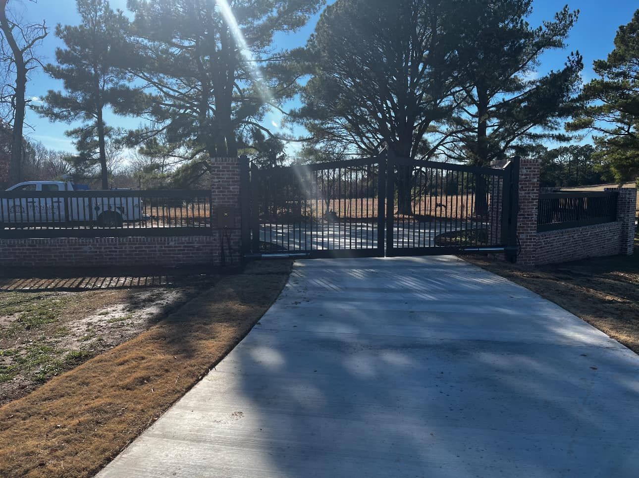 Concrete driveway leading to a black wrought-iron gate under tall pine trees on a sunny day