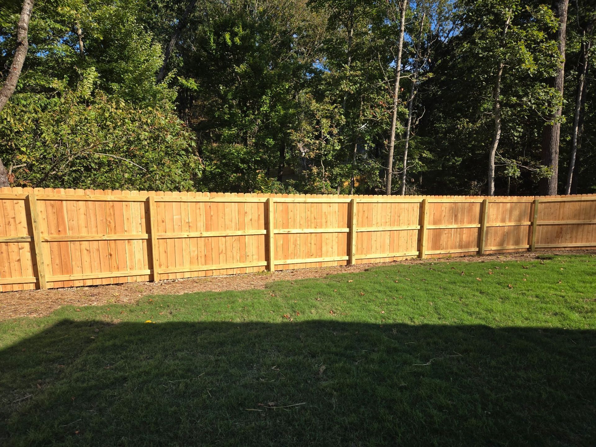Wooden fence along a grassy backyard with trees and sunlight in the background