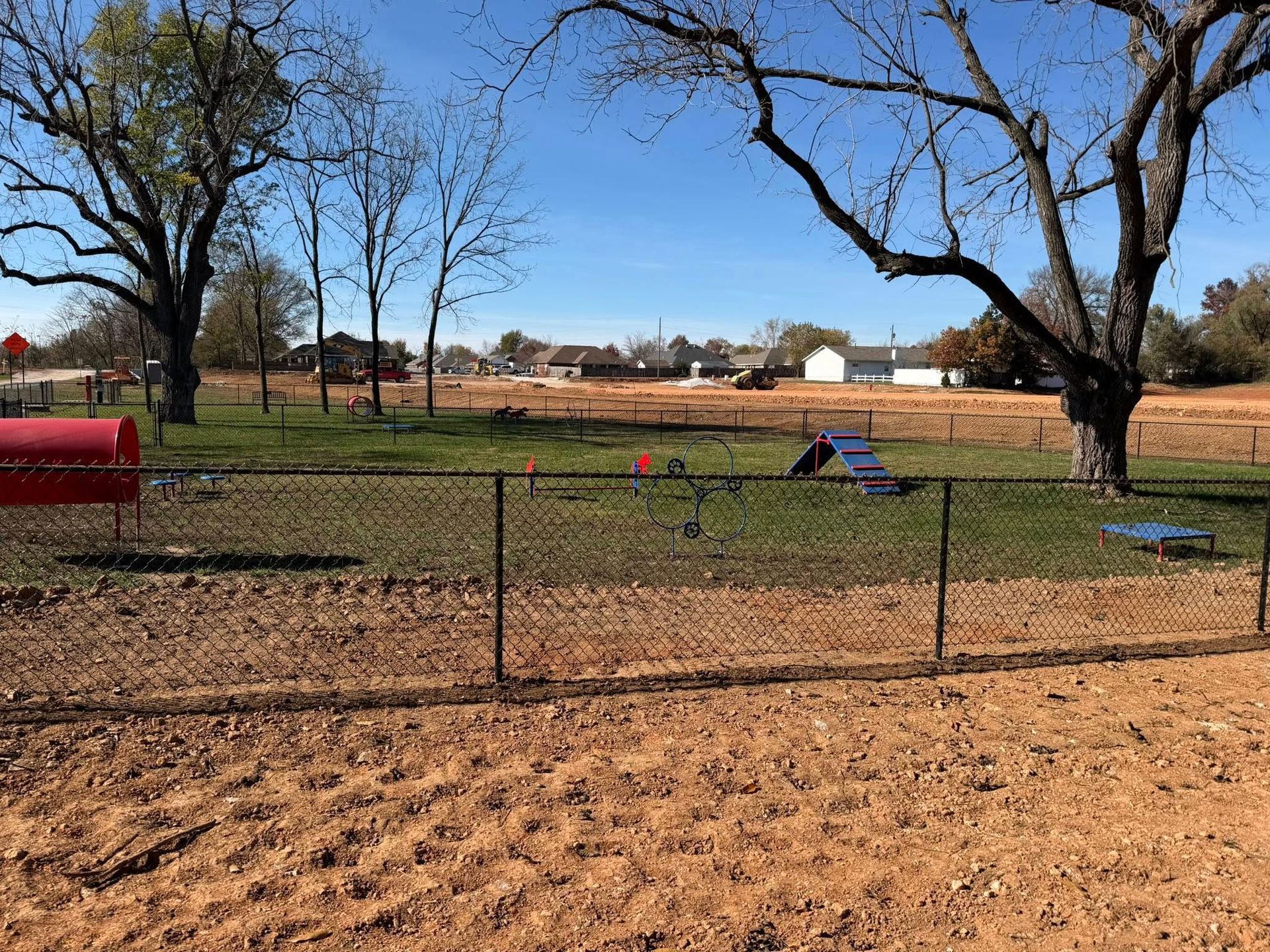 Fenced backyard with leafless trees, a red tunnel, and scattered dog agility equipment on dirt and grass.
