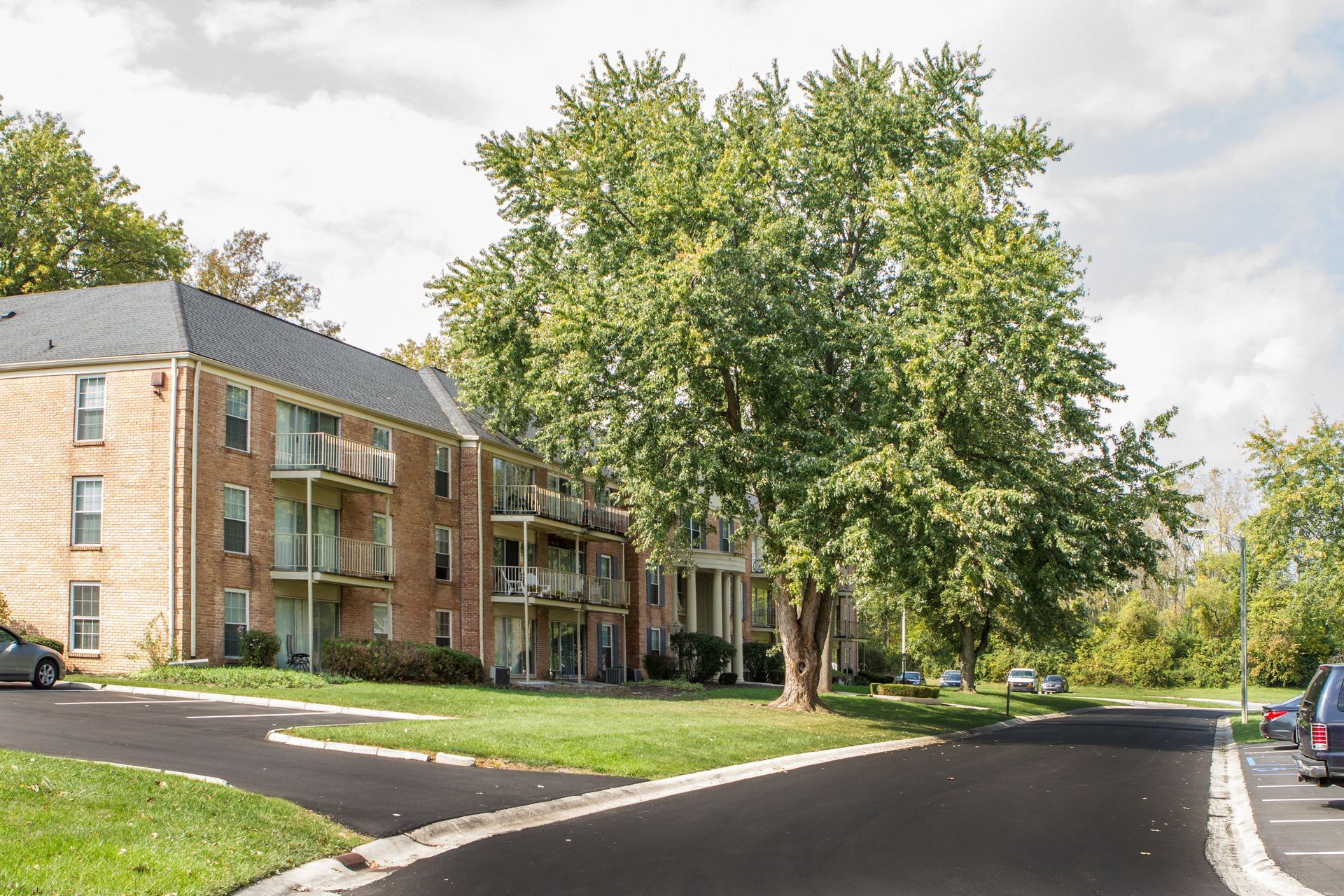 Apartment building with balconies and a large tree in front; asphalt road curves around.
