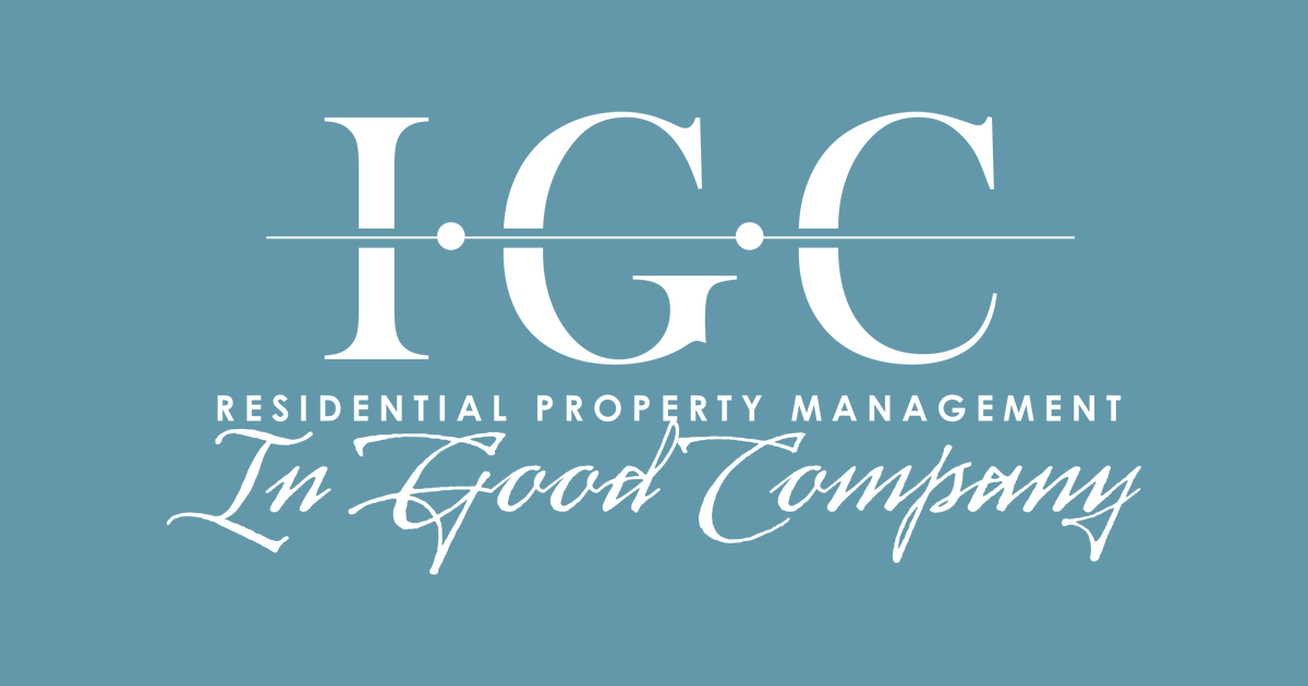 Gray background with a blue vertical stripe on the left edge.