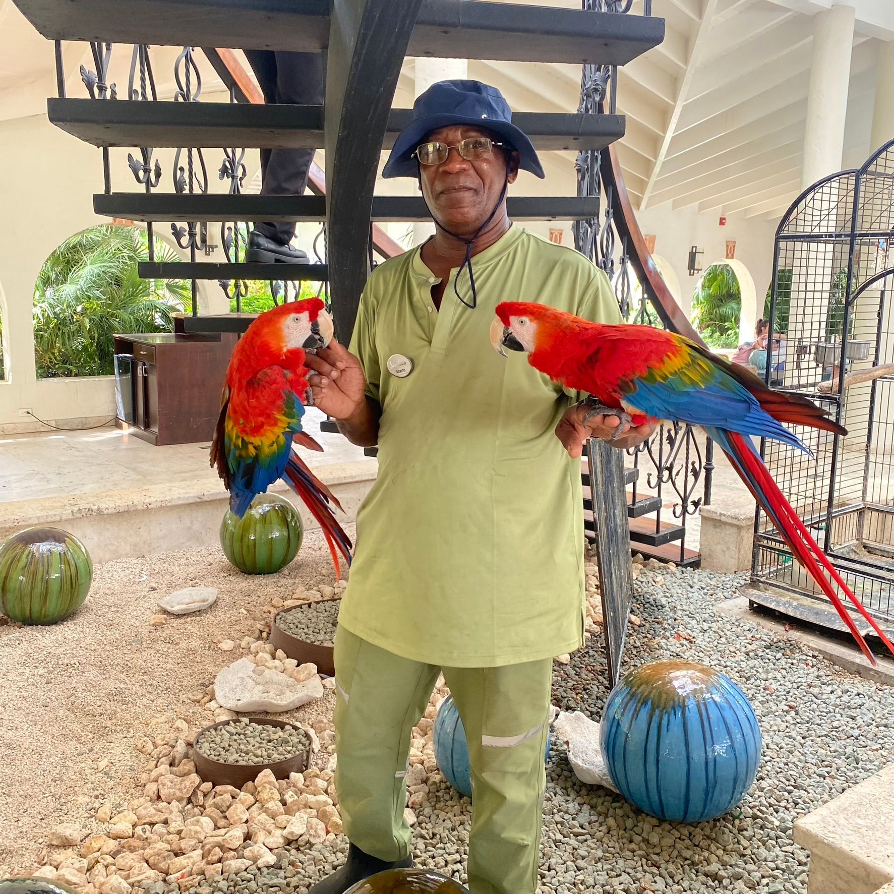 Man holding two bright red macaws in a tropical courtyard with stairs and decorative pumpkins
