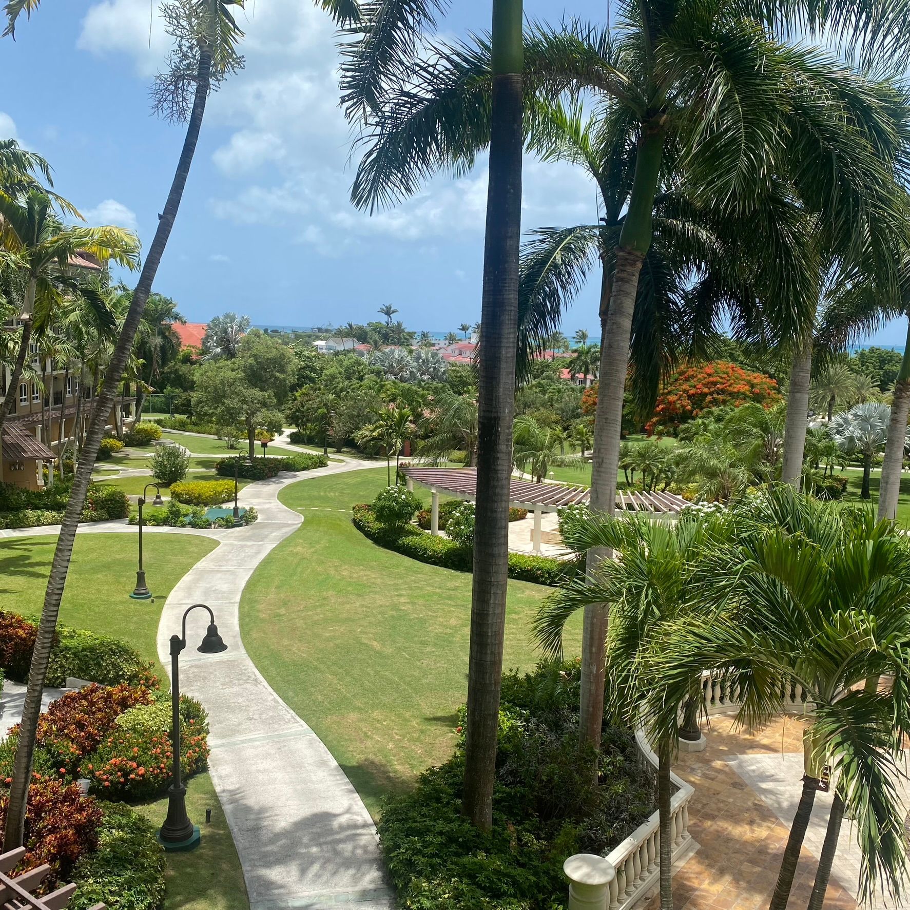 Lush tropical garden with winding path, palm trees, and colorful flowers under a bright sky