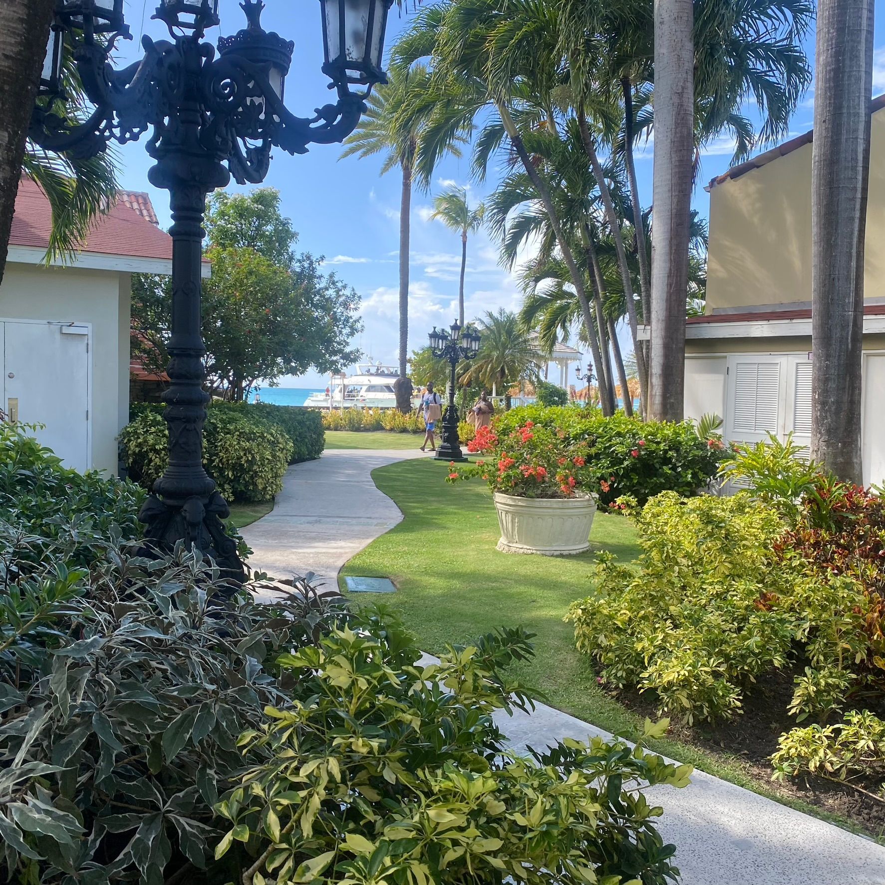 Sunny tropical garden path with palm trees, red flowers, and a distant view of the ocean