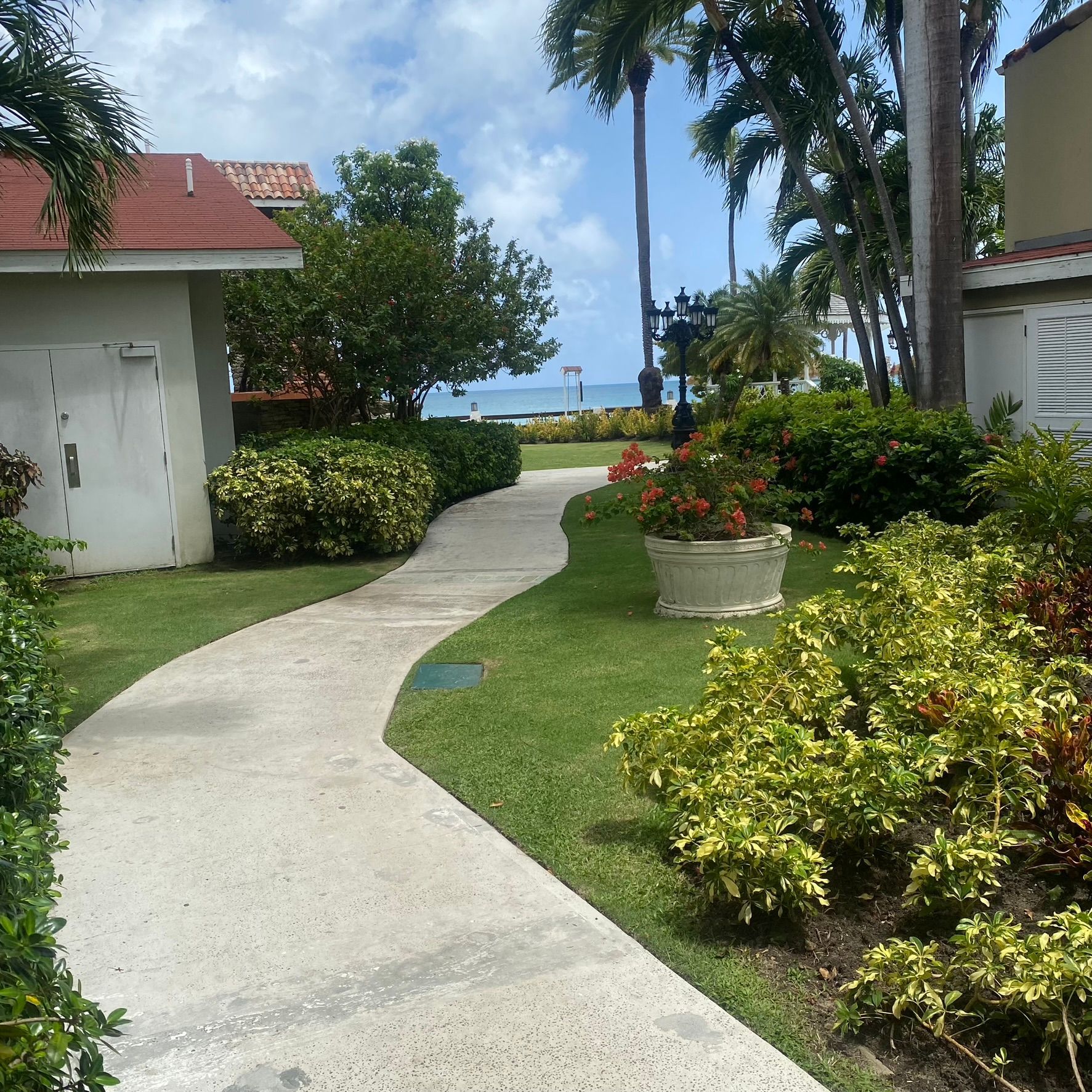 Tropical garden path leading to the ocean, bordered by lush green shrubs and palm trees