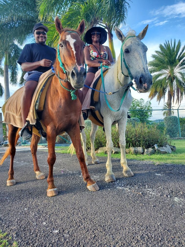 Two people on horses outdoors, with a chestnut horse and white horse in front of palm trees.