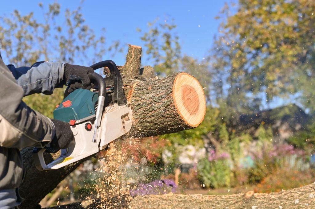 Chainsaw cutting a log outdoors, with wood chips flying and blurred trees in the background.