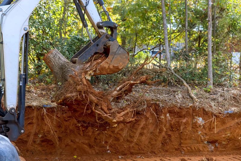 Excavator bucket uproots a large tree in a wooded area, exposing red soil and roots.