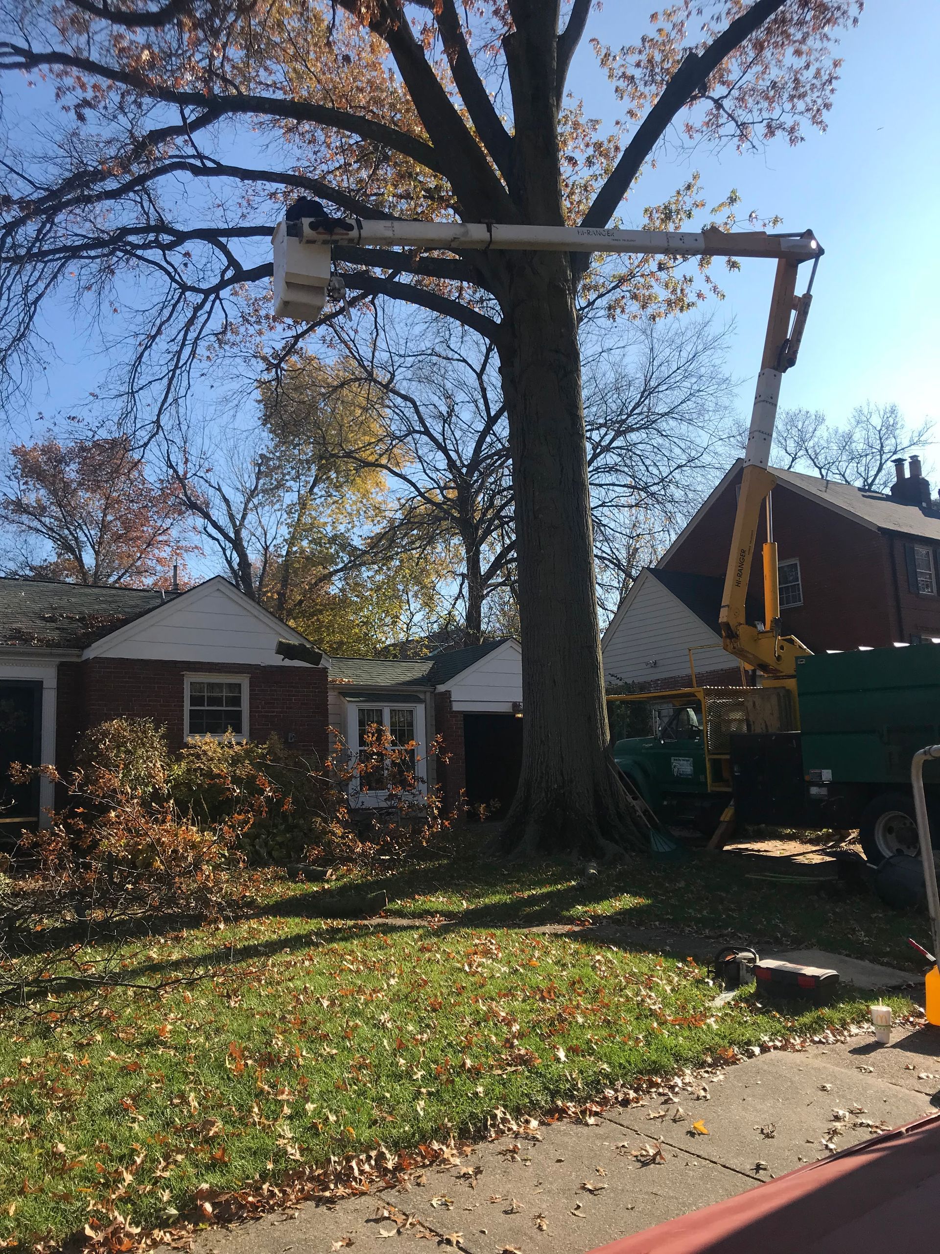 Tree being cut near houses on a sunny suburban street, with a truck and equipment nearby.