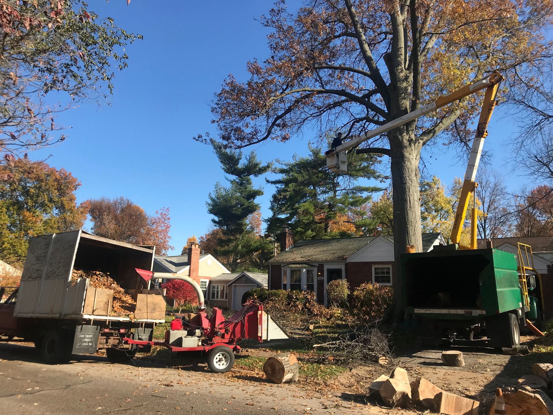 Workers and tree-cutting equipment beside a house in a leafy yard during autumn