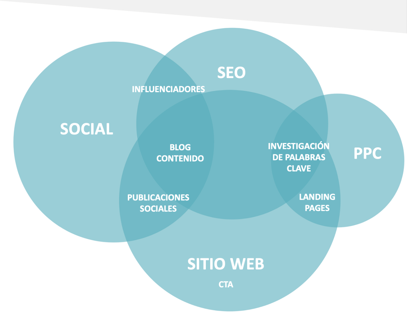Social, SEO, PPC y Sitio Web, los grandes pilares de toda estrategia digital