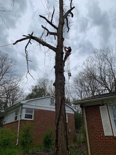 Tall leafless tree stump against cloudy sky beside brick houses and bare trees