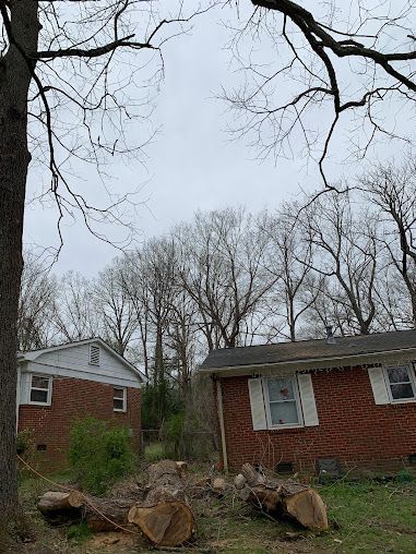 Two brick houses with damaged roofs and fallen tree limbs in a yard under bare winter trees
