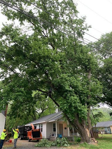 Workers assess a large tree leaning over a house, with an orange lift truck nearby.