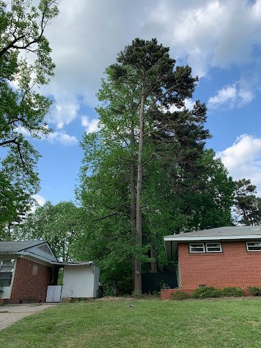 Tall trees beside a brick house and garage under a blue sky with clouds