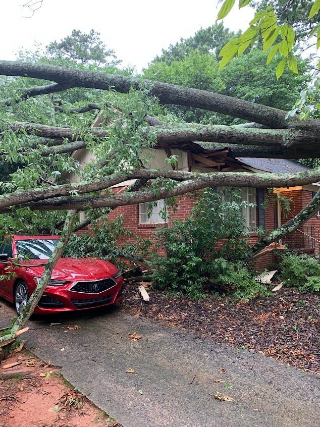 Fallen tree limbs block a driveway, crushing a red car in front of a brick house.