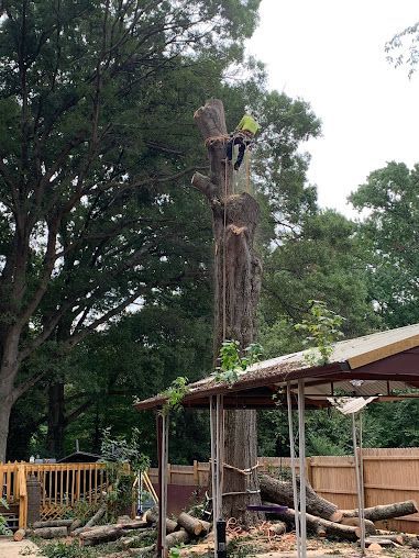 Tall tree stump with carved top beside a fenced yard and wooden shelter in a wooded area
