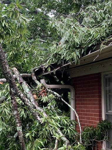 Tree branch fallen onto house roof and gutter beside a brick wall and window