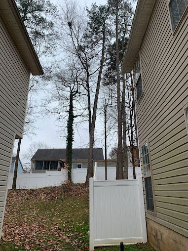 Narrow side yard between houses with a white fence, leaf-covered ground, and tall bare trees beyond.