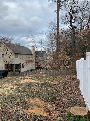 Backyard with bare trees, leaf-strewn ground, a house on the left, and a white fence on the right
