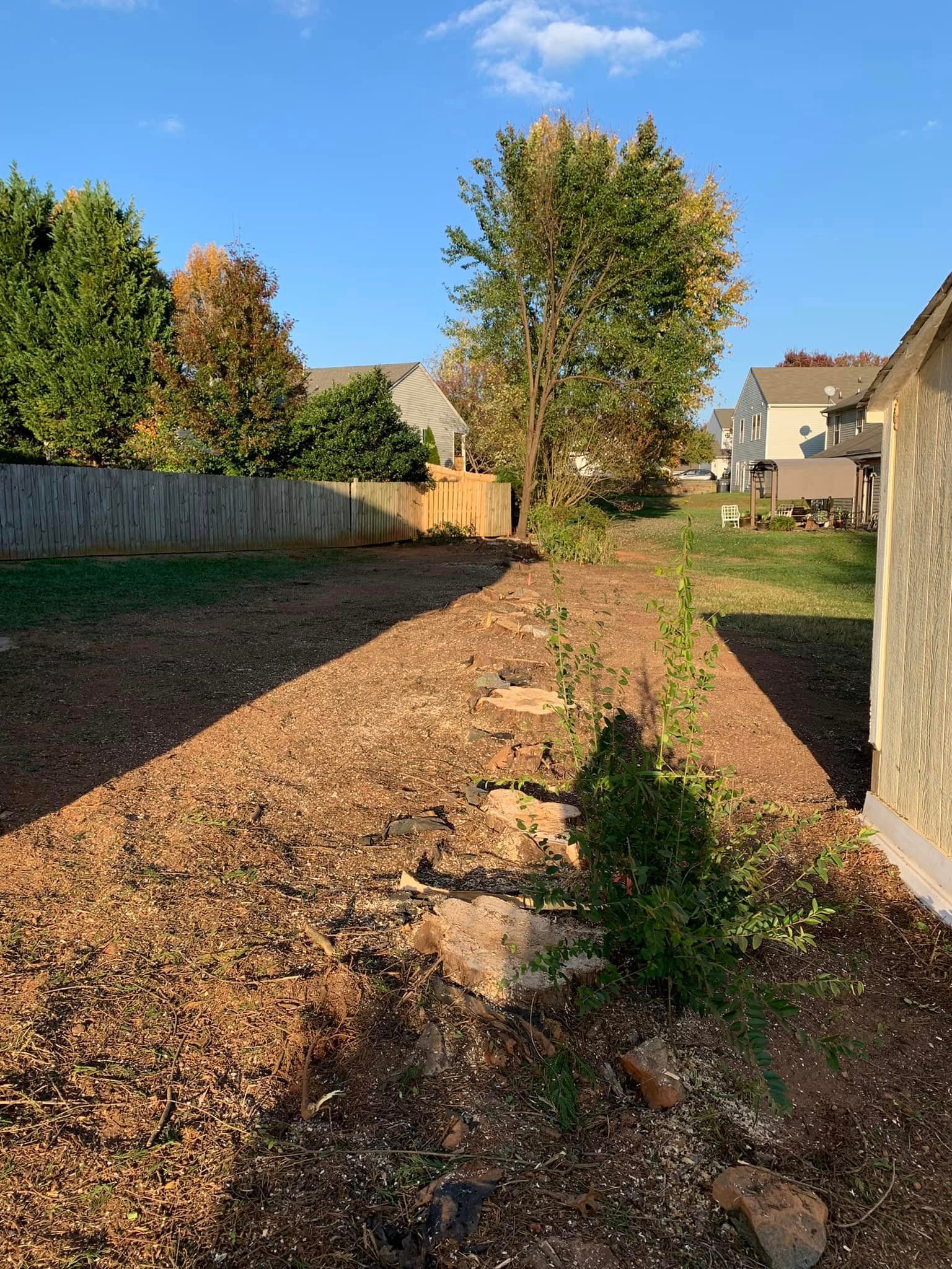 Backyard with wood chips, a shed, fence, trees, and houses under a blue sky.