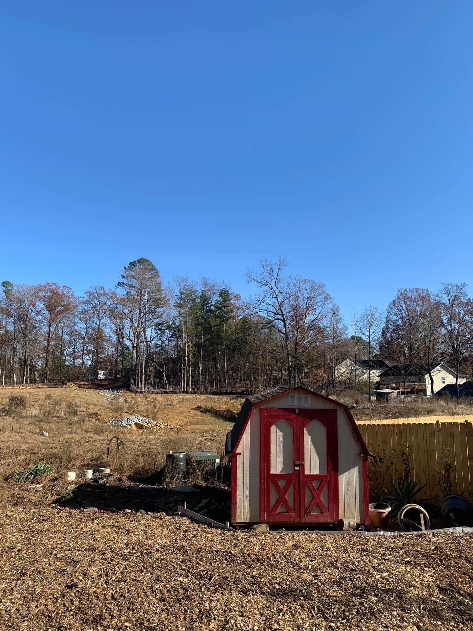 Red-doored shed on a brown leaf-covered lawn, with trees and blue sky background.