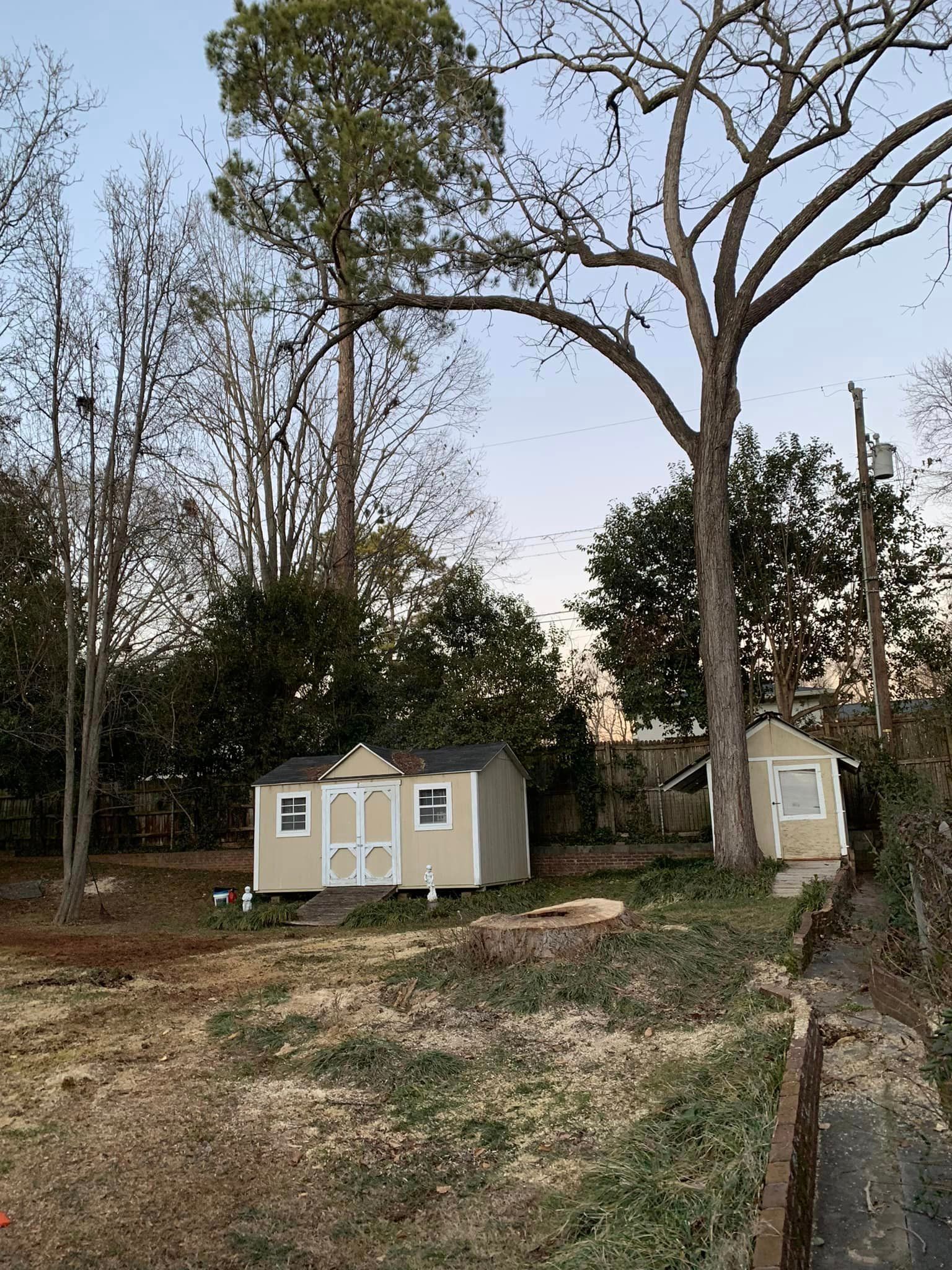 Two beige sheds in a backyard with trees and a cloudy sky.
