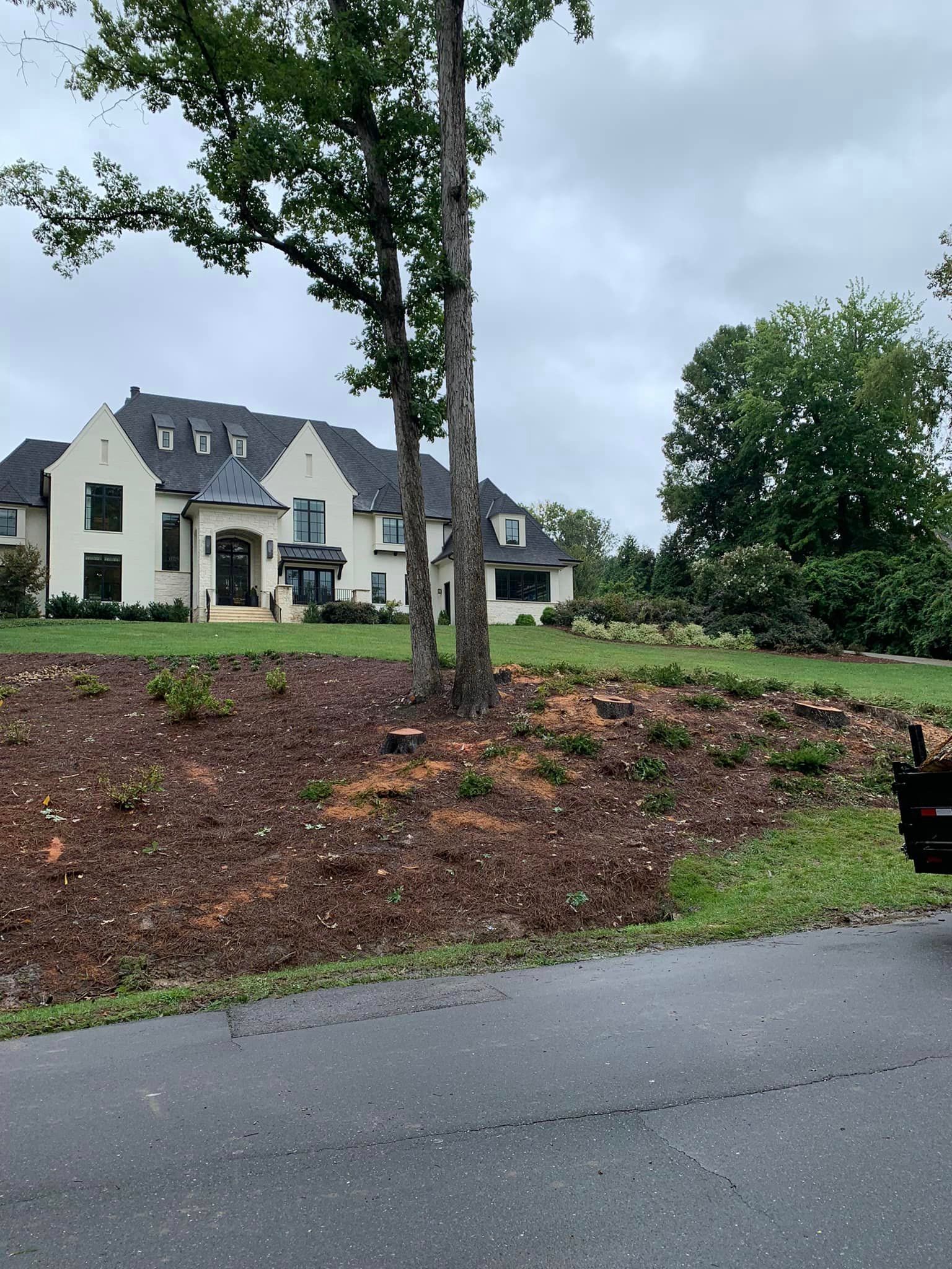 Large house with manicured lawn, trees, and newly cut tree stumps. Overcast sky.