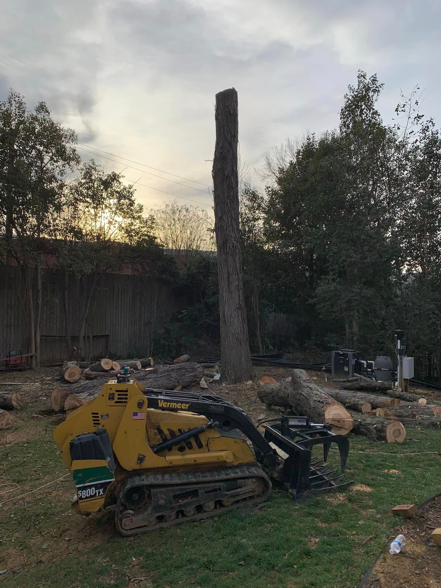 Yellow tree-cutting machine next to a tall tree trunk, with cut logs on the ground in a yard.