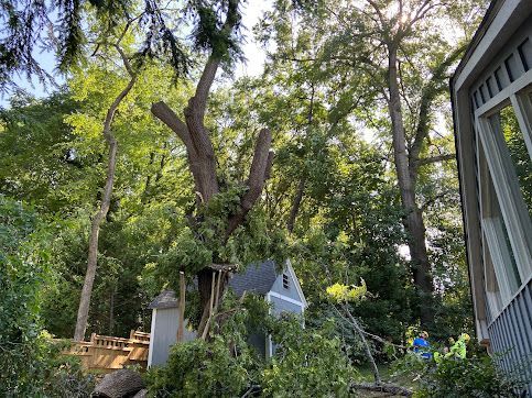 Wooded backyard with tall trees, a small house, and a screened porch in the foreground