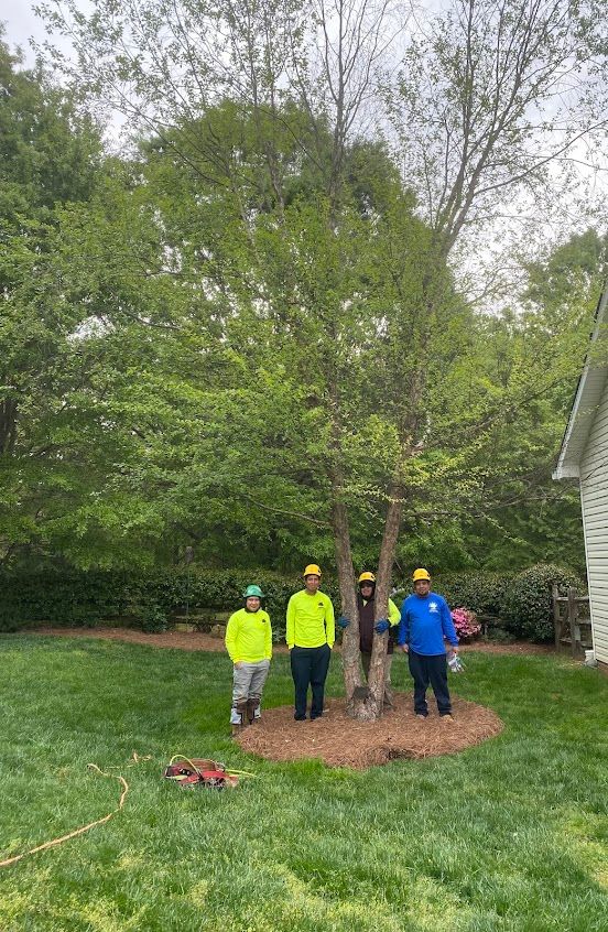 Five workers in neon safety gear stand by a tree in a grassy yard with equipment nearby.