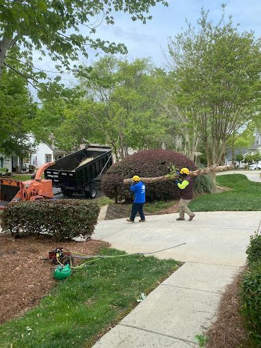 Workers load debris into a truck on a suburban sidewalk beside a landscaped yard.