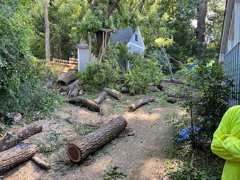 Tangled fallen tree branches and logs scattered across a wooded yard beside a house.