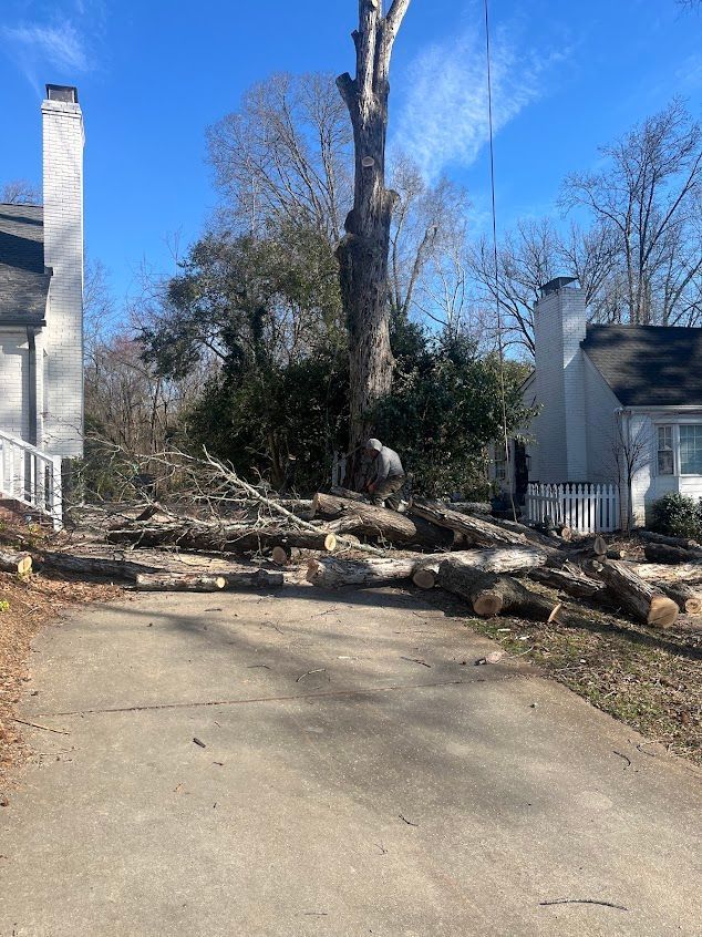 Driveway blocked by fallen tree limbs and debris after storm damage