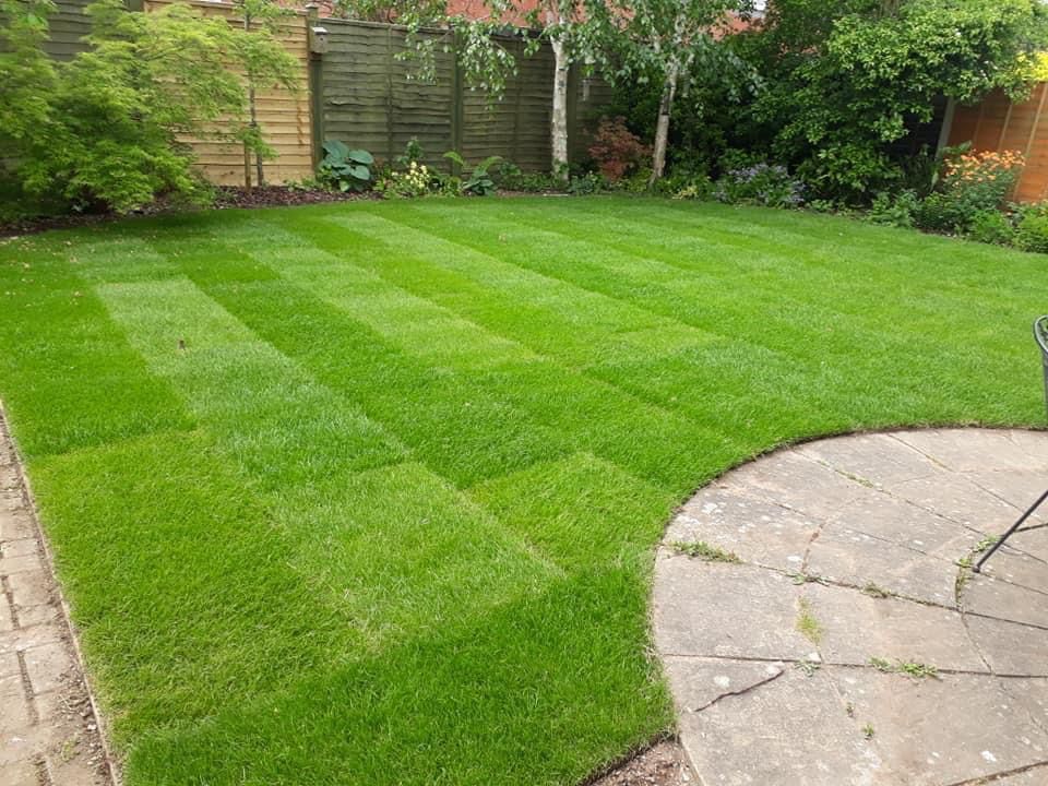Weed and Fertiliser Treatment for your Lawn