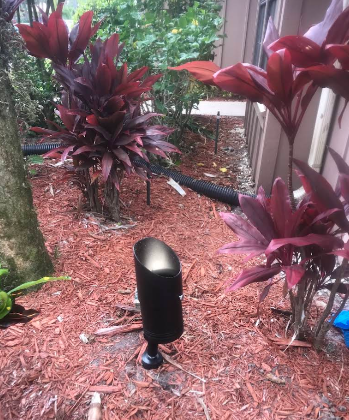 Tropical garden bed with red plants and a black solar light on mulch near a house wall