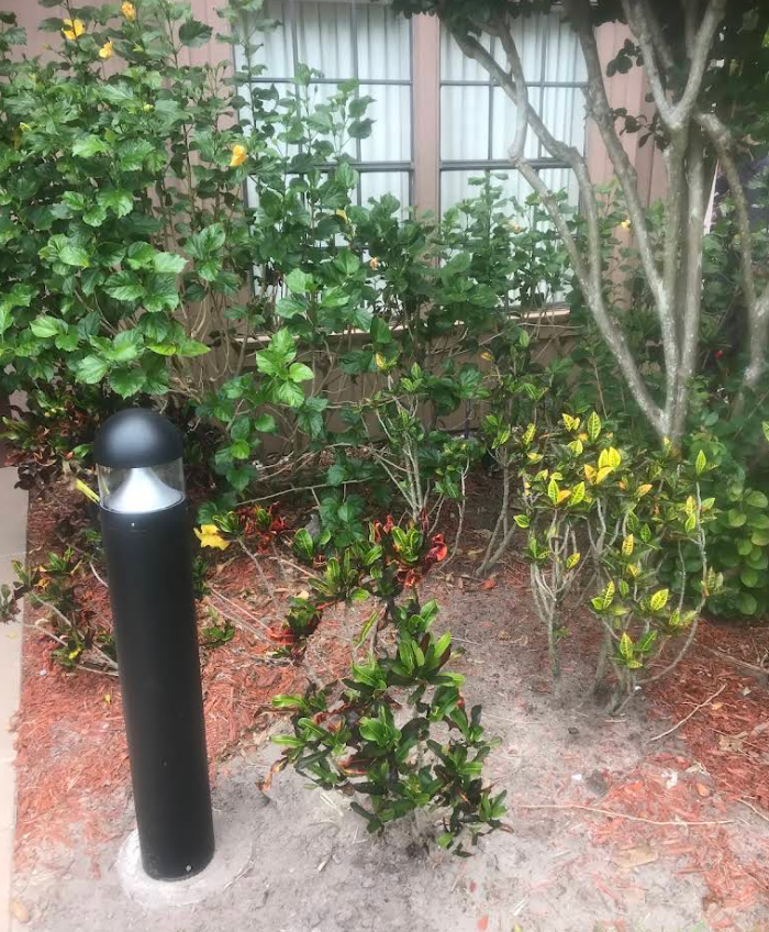 Garden bed with shrubs, a black path light, and a tree in front of a fence.