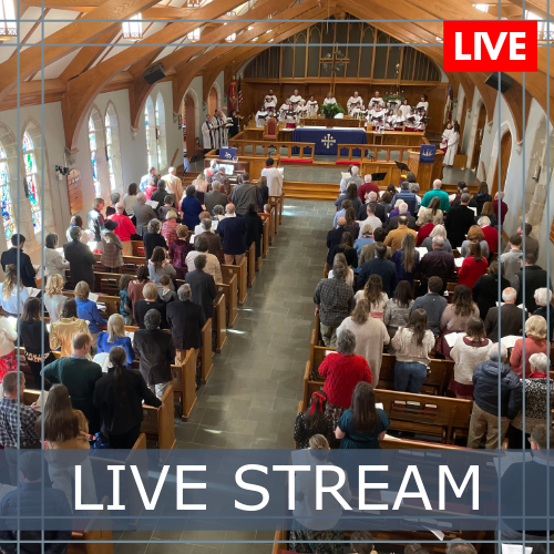 A large group of people are sitting in a church watching a live stream.