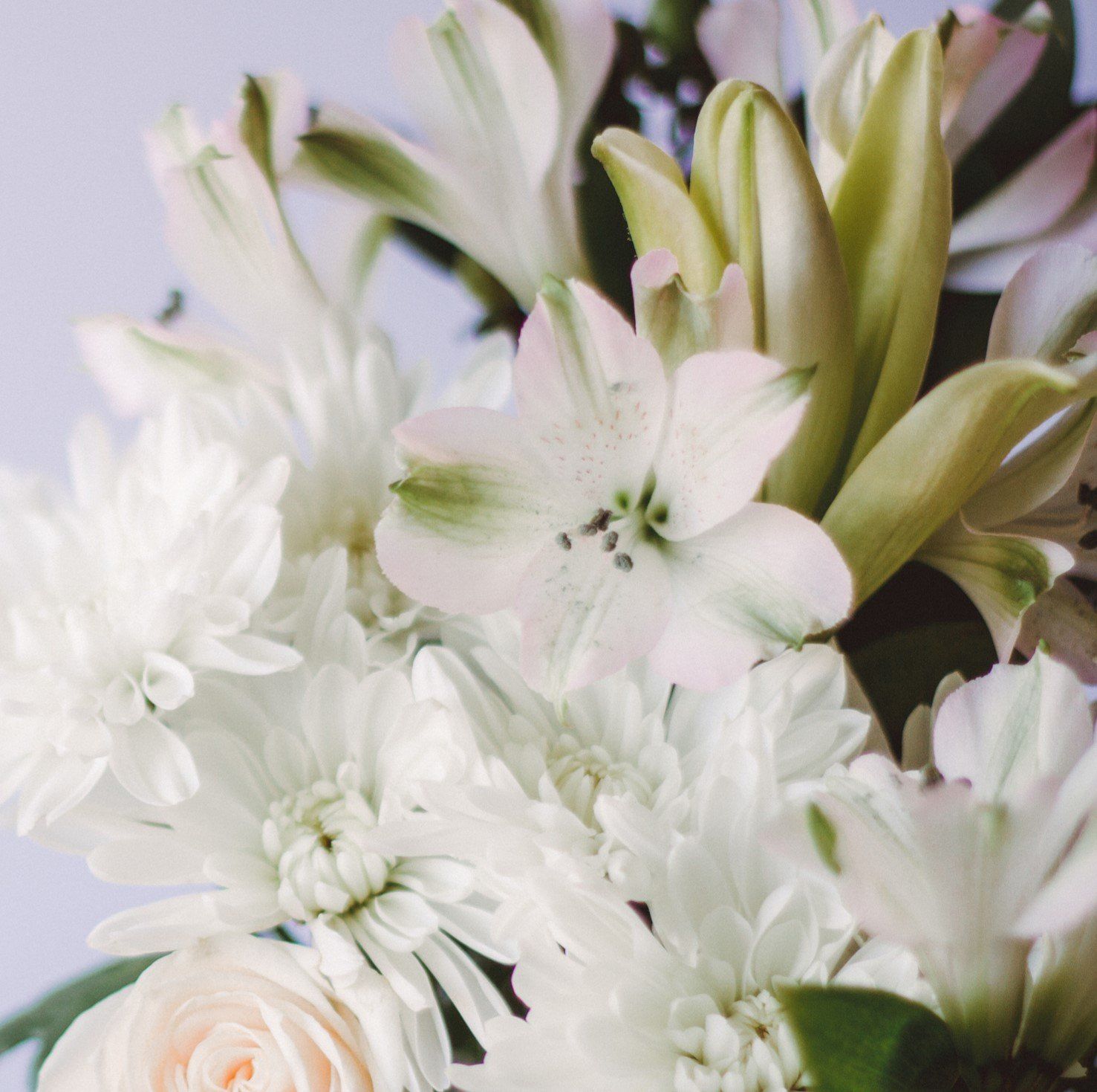 A close up of a bouquet of white flowers