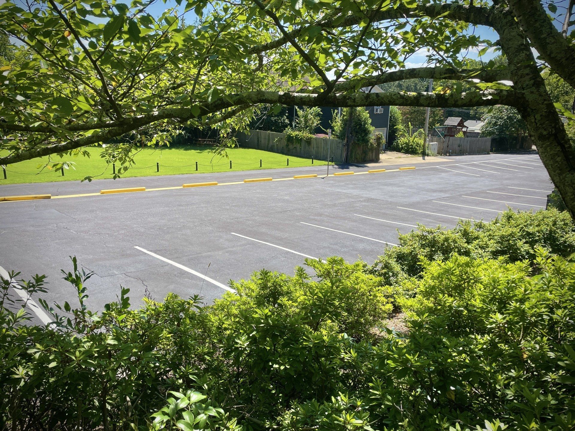 An empty parking lot with a tree in the foreground