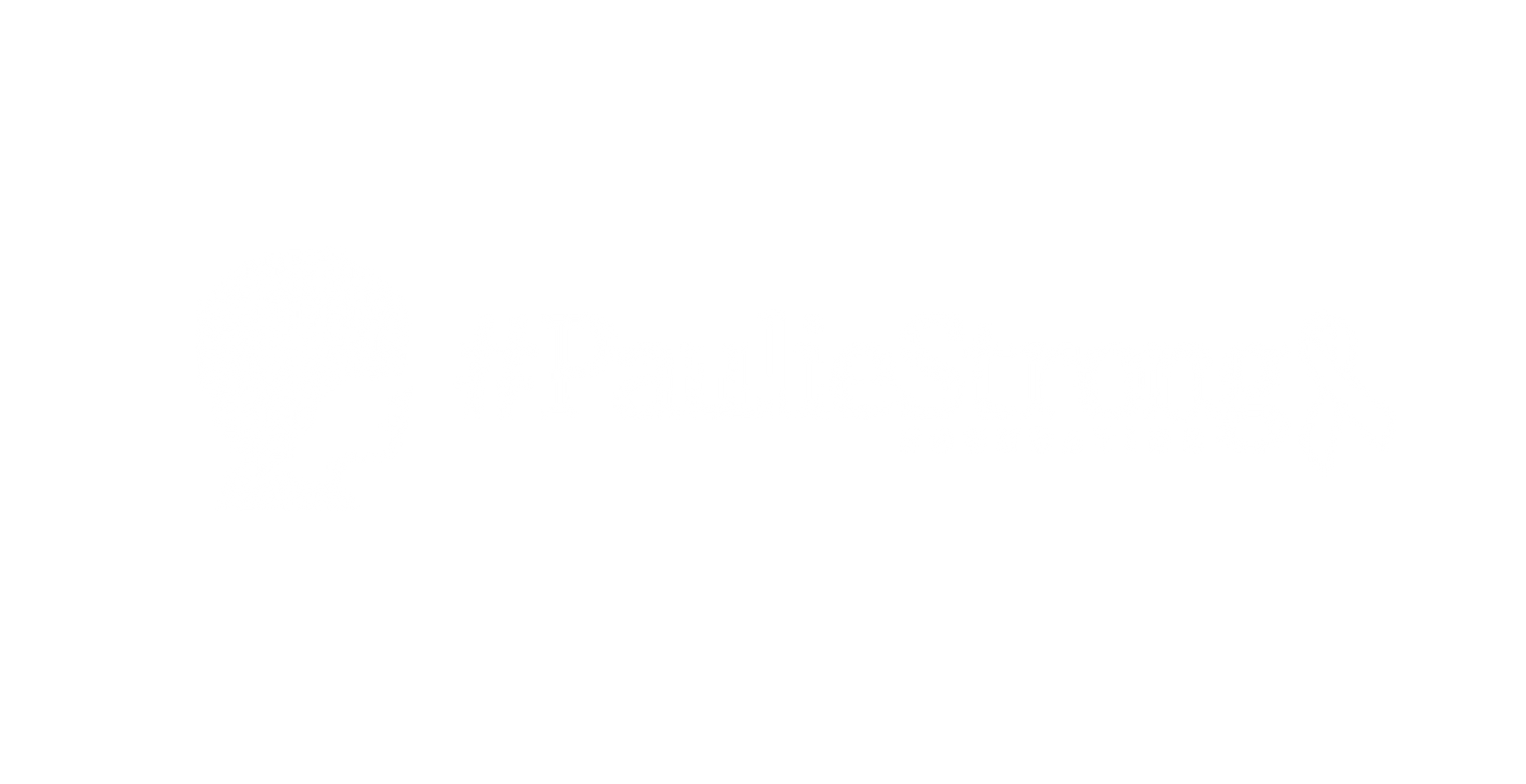 Paulie Strong Foundation Logo