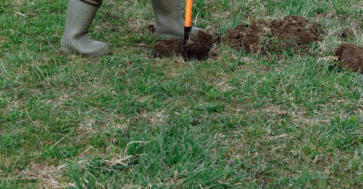 Person wearing rubber boots digging in the ground
