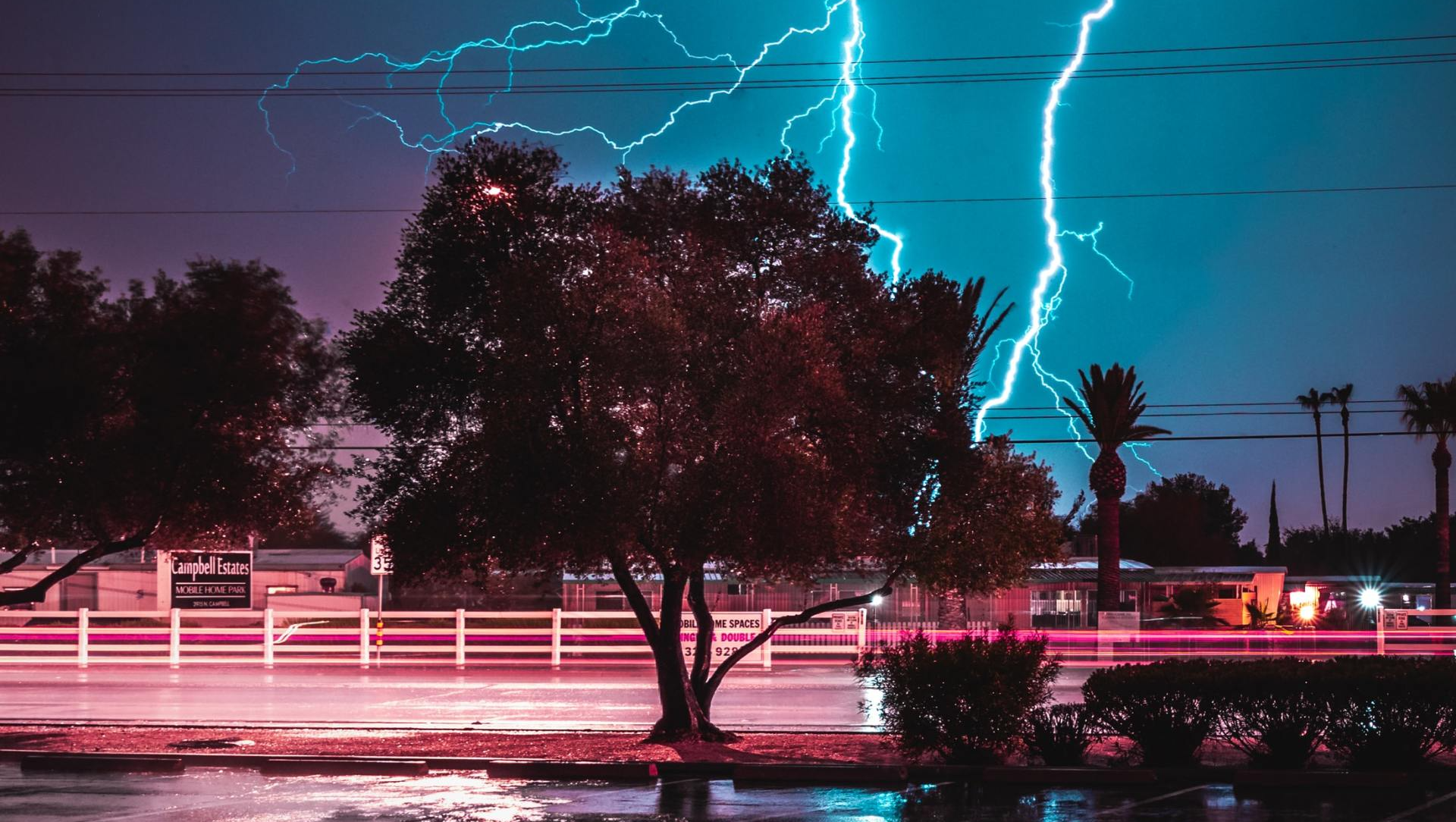 Lightning is strikes a tree in the middle of a city at night.